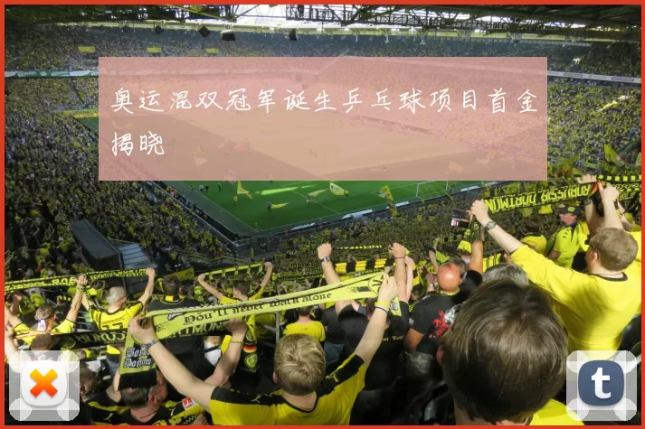 奥运混双冠军诞生乒乓球项目首金揭晓