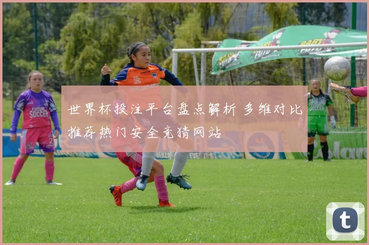 世界杯投注平台盘点解析 多维对比推荐热门安全竞猜网站