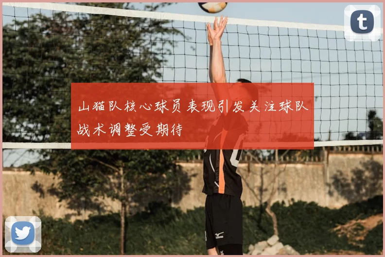 山猫队核心球员表现引发关注球队战术调整受期待