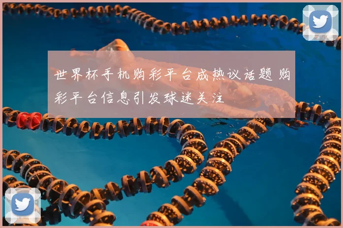 世界杯手机购彩平台成热议话题 购彩平台信息引发球迷关注