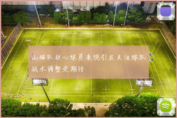 山猫队核心球员表现引发关注球队战术调整受期待