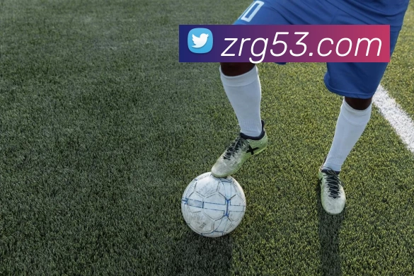 kaiyun「中国大陆」云开·门户网站 - 官方网站|登录入口平台生态图